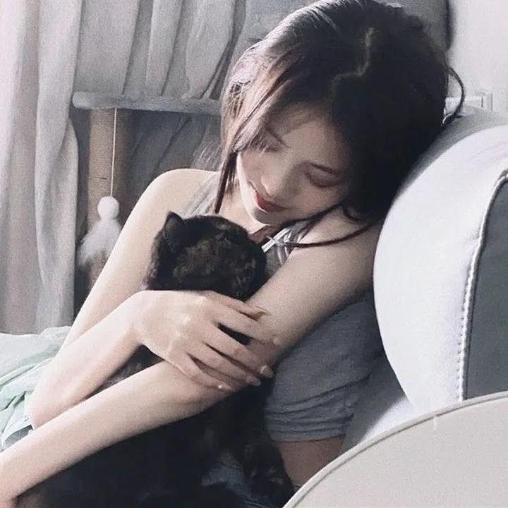 红色响尾蛇